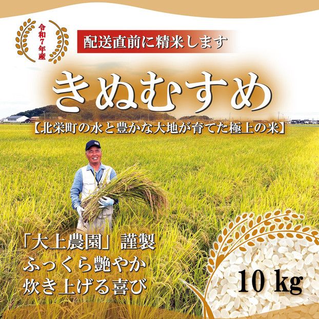 y挧khz1105.ߘa7NY@ʂނߐ 10kg 313726_CI002