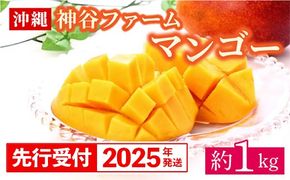 【先行受付】【2025年発送】神谷ファームのマンゴー（家庭用）約1Kg