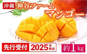 【先行受付】【2025年発送】神谷ファームのマンゴー（家庭用）約1Kg - 先行予約 沖縄県産 産地直送 南国フルーツ 旬の味覚 季節の果物 ご自宅用 沖縄マンゴー 沖縄県 八重瀬町