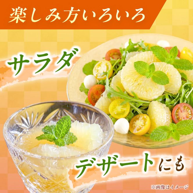 【先行予約】＜果樹園直送＞土佐小夏 特選品贈答用 約5kg 5キロ〈2027年5月下旬～6月下旬頃発送〉  / こなつ 小夏 日向夏 ニューサマーオレンジ 柑橘 かんきつ 柑橘類 フルーツ 果物 くだもの 果実 デザート おやつ【白木果樹園】 [BQAI028]