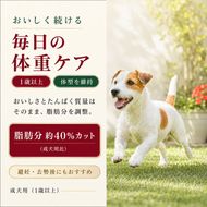 ビューティープロ ドッグ 低脂肪 1歳から 5.2kg ｘ1(ケース単位) ドッグフード