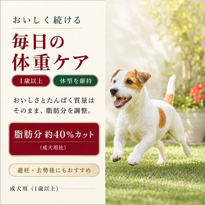 ビューティープロ ドッグ 低脂肪 1歳から 5.2kg ｘ1(ケース単位) ドッグフード