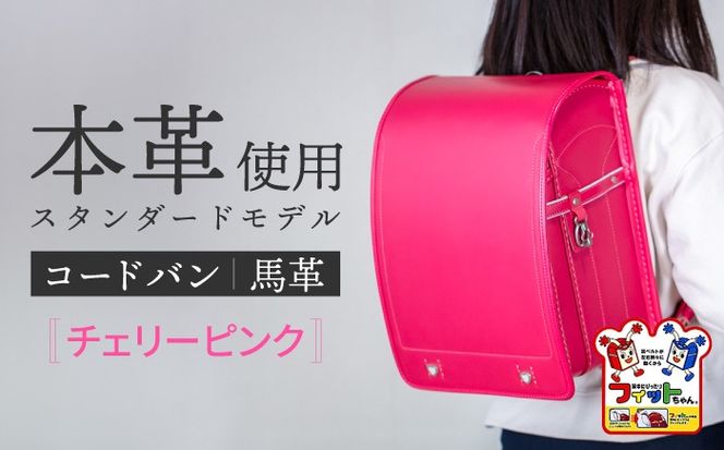 2027年度の入学式に向けて／ フィットちゃん ランドセル 『コードバン