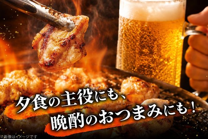 ホルモン 味付き能登豚ホルモンミックス 150g × 3パック [ホルモンしんちゃん 石川県 宝達志水町 38601396] 肉 お肉 ほるもん 能登豚 豚肉 豚ホルモン 冷凍 味付き 小分け おかず 焼肉 BBQ おつまみ