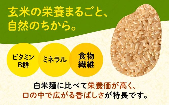 米粉パスタ 玄米 140g×5袋 パスタ グルテンフリー 玄米 愛西市 / 株式会社TONORI[AECT030]