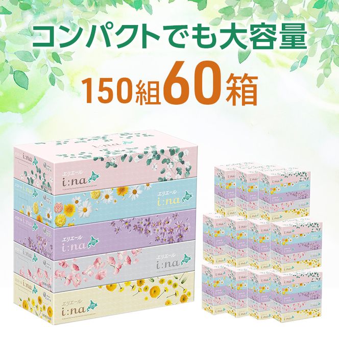 【2回お届け 計120箱】エリエール i:na (イーナ) 北海道 ティシュー 150組5箱 12パック ティッシュペーパー 箱ティッシュ まとめ買い 防災 常備品 備蓄品 消耗品 日用品 生活必需品 送料無料 赤平市 福祉用品 雑貨 