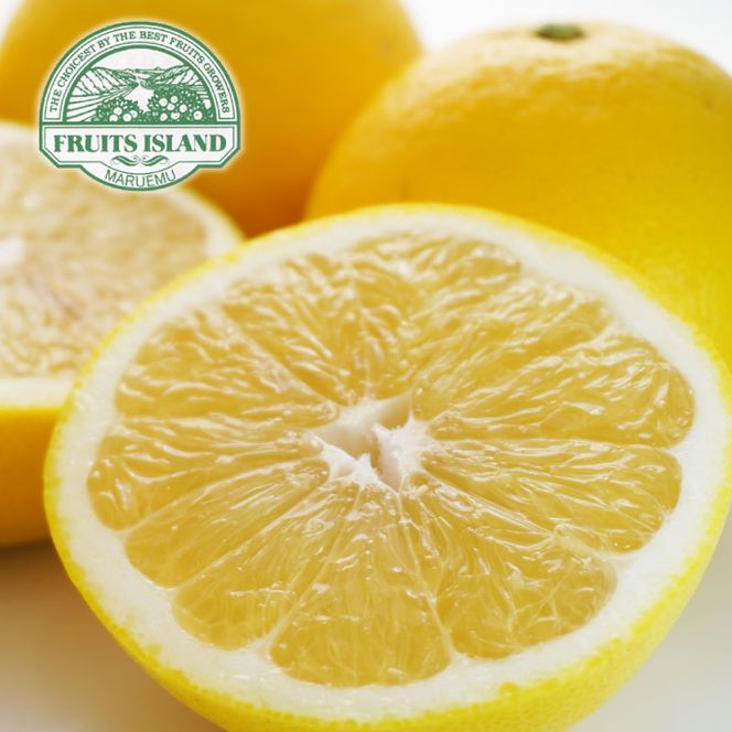 先行予約 訳あり 美生柑 みしょうかん 約5kg 河内晩柑 不揃い 大小ミックス 傷あり ばんかん フルーツ 果物 くだもの 文旦 晩生柑 厳選 愛媛 みかん 蜜柑 愛南 ご当地 ブランド 