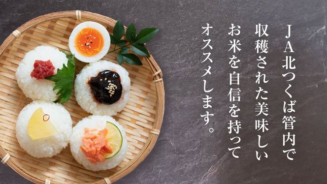 令和6年産 茨城県産こしひかり（玄米）10kg 2週間以内発送【 R6