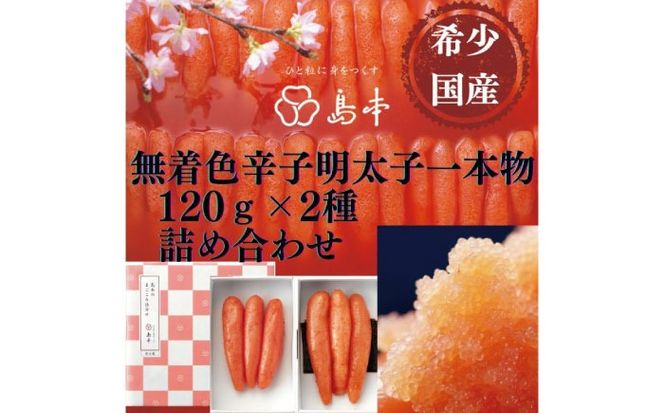 yz㒬zyhqq̓{z󏭍YEFhqq{120×2 z㒬yГ{Hiz߂񂽂 炱 q Y F 1{[ABCR015]