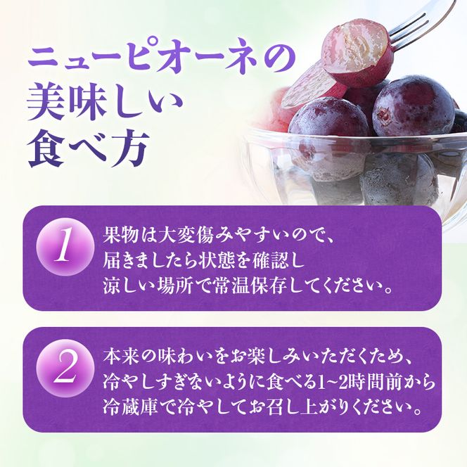 【2026年先行受付】 白桃 ニューピオーネ 約1.2kg セット 桃 2玉 ぶどう 1房 岡山県産  御中元 ギフト 御礼 プレゼント 御礼 御祝 御供 果物 くだもの フルーツ もも モモ 葡萄 ブドウ