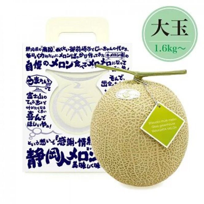 【限定企画商品】静岡人 × 山下メロンの最高級のマスクメロン 1玉 Ｌ玉1.6kg～1.7kg  静岡温室メロン「バカうまいメロン」「自慢のメロンを届けたい！！」　高級果実店に仕入れるほどの自信のあるメロン  ギフト  メロン めろん 箱詰め フルーツ 果物  産地直送 甘いメロン 糖度   青肉 222232_AY006