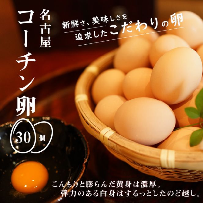 名古屋コーチン卵（30個入り)[006K01]
