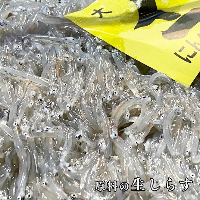ちりめん山椒 1kg 天然 ちりめん 大洗 しらす シラス ご飯のお供 魚 さかな 魚介  離乳食