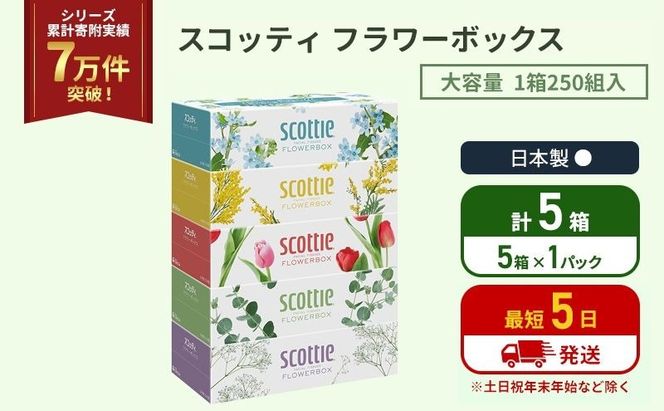 ティッシュ スコッティ フラワーボックス 5箱 ( 5箱 × 1パック)