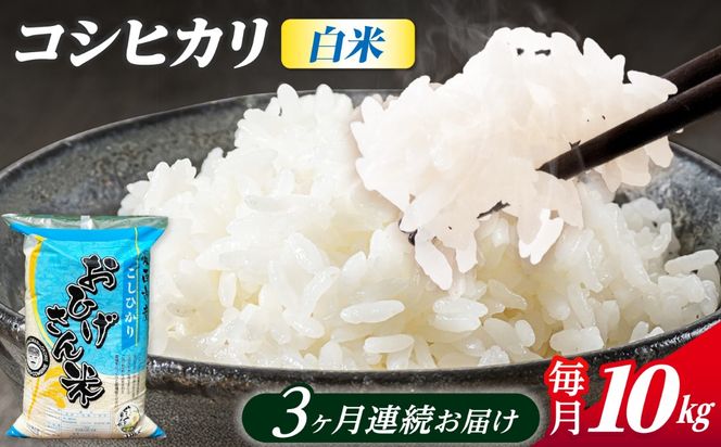 【3回定期便】コシヒカリ 白米 10kg×3か月 / 脇野コンバイン[AECP027]