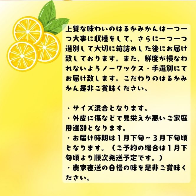 【人気柑橘】有田育ちの はるか みかん（訳あり 家庭用）7.5kg+200g(傷み補償分)