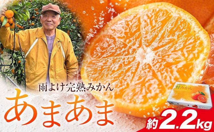[CF]雨よけ完熟みかん「あまあま」 約2.2kg 正木 久之[12月下旬-1月下旬]徳島県 佐那河内村 みかん ミカン 蜜柑 柑橘 箱入り 化粧箱 フルーツ 果物 くだもの 贈答[配送不可地域あり]※離島不可---sanagouchi_mhy_1_1hk---