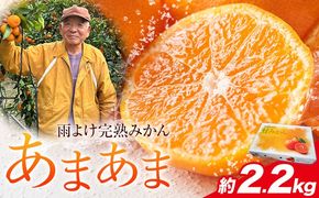 【CF】雨よけ完熟みかん「あまあま」 約2.2kg  正木　久之《12月下旬-1月下旬》徳島県 佐那河内村 みかん ミカン 蜜柑 柑橘 箱入り 化粧箱 フルーツ 果物 くだもの 贈答【配送不可地域あり】※離島不可---sanagouchi_mhy_1_1hk---