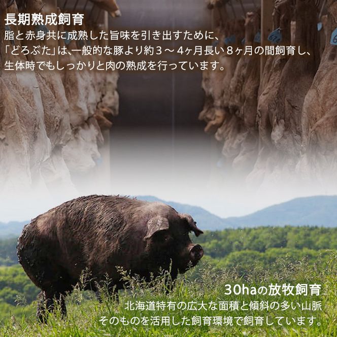 十勝幕別産ブランド放牧豚［どろぶた］ソーセージ5種セット【 北海道 豚肉 ウィンナー 惣菜 おかず 】 