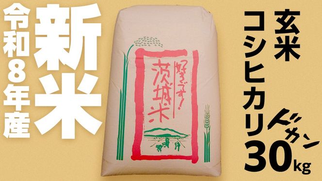 すぐ届く！ 令和8年産 新米 コシヒカリ 玄米 30kg  茨城県つくばみらい市産 ｜ 米 コメ 単一米 コスパ 茨城県産 国産 単一原料米 こしひかり お米