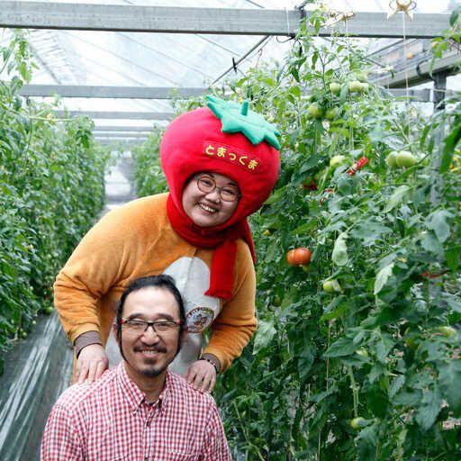 【訳あり】【先行予約】訳あり 赤いミニトマトの宝石箱 約2kg / 家族・大切な方と楽しむ食べ比べセット〈2026年11月下旬～2027年5月下旬まで〉 トマト とまと ミックス 詰め合わせ セット 野菜 料理 サラダ マリネ パスタ 浅漬け おやつ 弁当 甘味 酸味 新鮮 高知県 土佐市【ファーム輝】 [BQBM010]