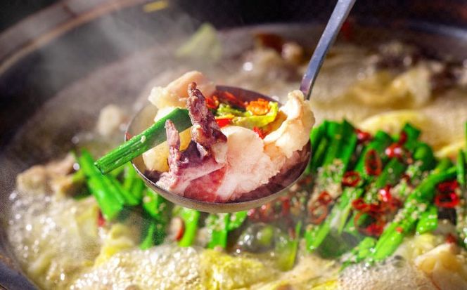 長崎牛もつ鍋　1食 / もつ鍋 もつ モツ 鍋料理 / 南島原市 / はなぶさ[SCN163]