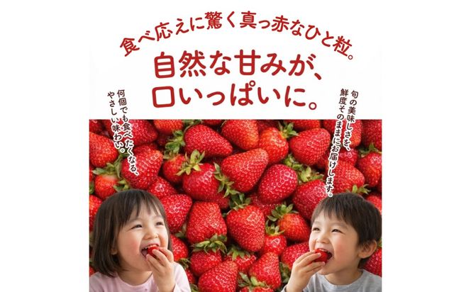 【訳あり】あまおう 4パック いちご 270g×4パック(1.08kg) / 果物 苺 / 糸島市 / 株式会社フルコンス[ALO003]