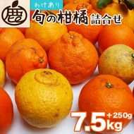 ＜1月より発送＞家庭用 柑橘詰合せ7.5kg+250g（傷み補償分）◇【訳あり・わけあり】【有田の春みかん詰め合わせ・フルーツ詰め合せ・オレンジつめあわせ】【光センサー選別】