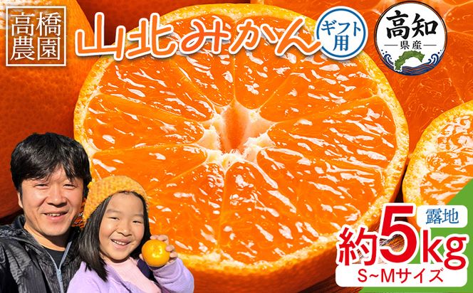 みかん 【2026年11月中旬より順次配送】山北みかん 約5kg（露地・S～Mサイズ）- 果物 フルーツ 柑橘 先行予約 おすそ分け ギフト のし 高橋農園 th-0029