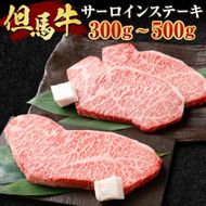 【ふるさと納税】但馬牛 サーロインステーキ 選べる 300g×1枚 or 250g×2枚 肉 お肉 牛肉 黒毛和種 和牛 サーロイン ステーキ 冷凍 国産 お取り寄せ ブランド牛 【配送不可地域：離島】【1098410】【1098414】送料無料 兵庫県 新温泉町