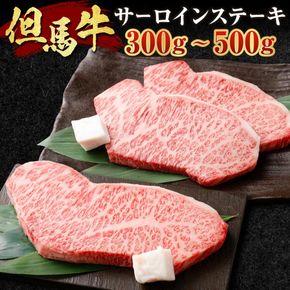【ふるさと納税】但馬牛 サーロインステーキ 選べる 300g×1枚 or 250g×2枚 肉 お肉 牛肉 黒毛和種 和牛 サーロイン ステーキ 冷凍 国産 お取り寄せ ブランド牛 【配送不可地域：離島】【1098410】【1098414】送料無料 兵庫県 新温泉町