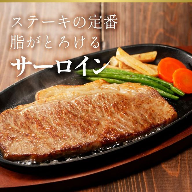 宮崎牛 ヒレ・サーロインステーキセット各200g×3枚 N023-YZF004