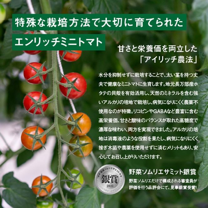 エンリッチミニトマトセット3箱セット【28001BA0101】