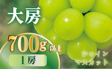 【2024年/令和6年発送分】最高級　大房　シャインマスカット1房(約700g）[山梨 シャインマスカット]　山梨県産　産地直送　フルーツ　果物　くだもの　ぶどう　ブドウ　葡萄　シャイン　シャインマスカット　新鮮　人気　おすすめ　国産　贈答　ギフト　お取り寄せ　AN-127