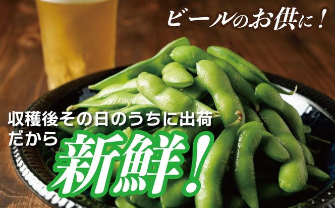 G5491 【先行予約】新鮮枝豆（栄錦）合計 2kg（200g×10）【小分け 野菜 泉佐野産 やさい 高評価 数量限定 栄錦】