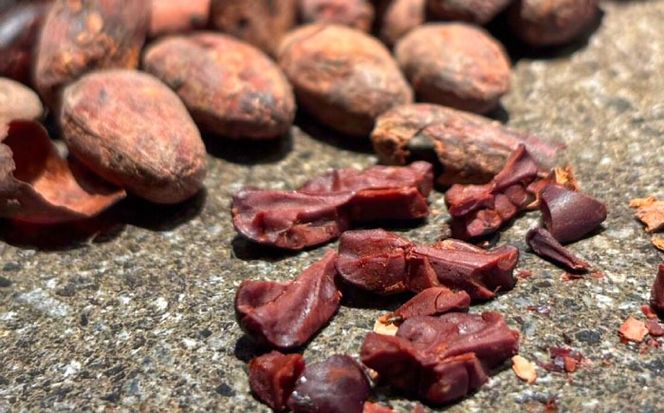 カカオハスククッキー 1袋 チョコ チョコレート クッキー カカオ ハスク 沖縄市 / Lives Chocolate[BCEI004]