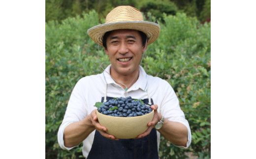 大粒冷凍ブルーベリー1kg ※離島への配送不可