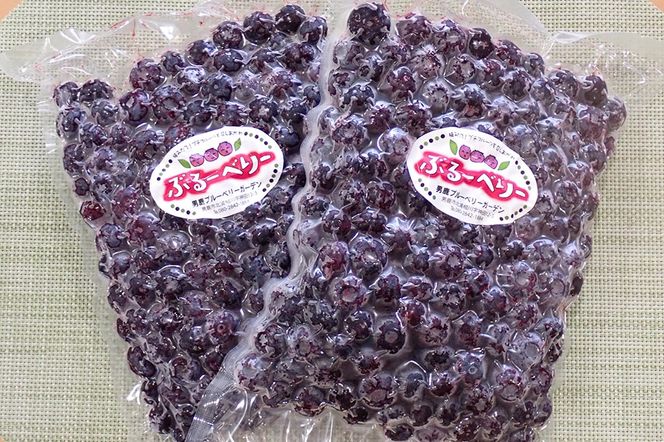 【男鹿ぶるーべりーガーデン】 冷凍ブルーベリー 500g×2パック（合計1kg）秋田県 男鹿市|23_sea-021001