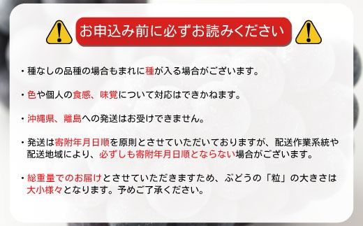 先行受付【家庭用 パック詰め】ナガノパープル＆シャインマスカット 合計約700g (350g×各種1パック) 《信州うちやま農園》■2025年発送■※8月中旬頃～10月中旬頃まで順次発送予定