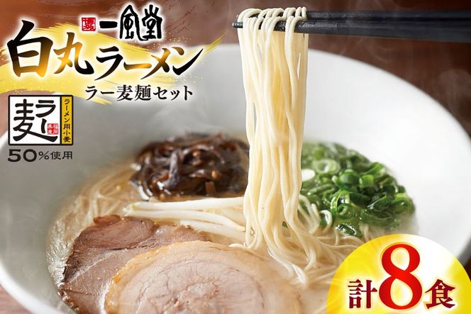 ラーメン 一風堂 白丸 ラー麦麺 セット 計8食 [地域商社ふるさぽ 福岡県 宇美町 um40bfw220009] らーめん 豚骨 とんこつ 博多ラーメン 豚骨ラーメン 詰め合わせ