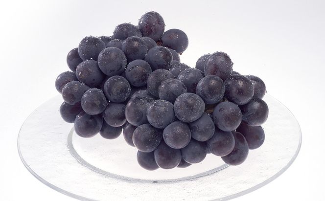 ぶどう 2026年 先行予約 シャインマスカット ＆ ニュー ピオーネ 各1房 約1.2kg ブドウ 葡萄 岡山県産 国産 フルーツ 果物 直送！せとうちバスケット