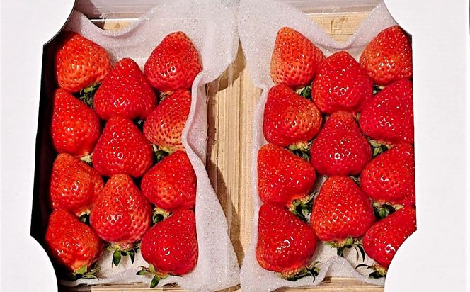 【2026年2月上旬～4月上旬発送予定】 あまおうデラックス 約280g×4パック 計1.12kg 苺 いちご フルーツ 国産 冷蔵