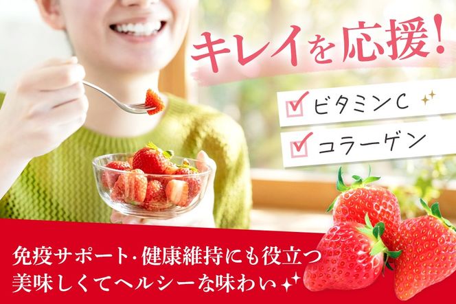 【2027年1月中旬より発送開始】いちごさん4パック【果物 くだもの フルーツ イチゴ 苺 佐賀】(H116133)