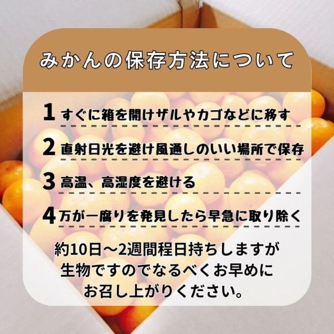 有田みかん 早生S〜Lサイズ混合 約20kg【2026年発送 先行予約】ER05-D2