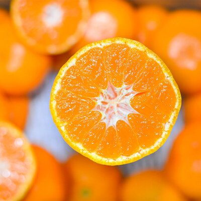 EA6029n_【2026年先行予約】濃厚な味わいのこだわり 有田みかん 5kg (早生みかん・大小混合)