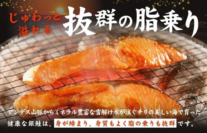 kgp0100 銀鮭 切り身 5kg【32-45切れ TVで紹介 訳あり サイズ不揃い 海鮮 魚介 鮭 さけ しゃけ お弁当 簡単調理 家計応援 まとめ買い】