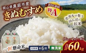＜定期便 全6回＞ 令和8年産 真庭市産きぬむすめ 無洗米10kg (5kg×2袋) ×6回 / お米 国産 岡山県 米 人気 ブランド 2026年産 【tkns-tkb023】