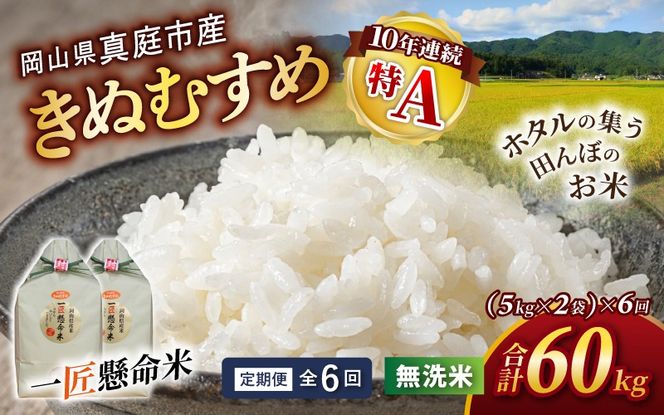 ＜定期便 全6回＞ 令和8年産 真庭市産きぬむすめ 無洗米10kg (5kg×2袋) ×6回 / お米 国産 岡山県 米 人気 ブランド 2026年産 【tkns-tkb023】