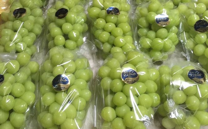 シャインマスカット 2房 合計1kg前後 葡萄 フルーツ 岡山 高梁市産 ぜきお農園 ぶどうclub 2026年 先行予約 果物類 