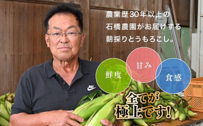 【先行予約】【6月下旬～8月中旬発送】 鮮度・甘み・食感 全てが極上! 農業歴30年以上の農家のこだわりが詰まった 朝採り とうもろこし 2L 13本 約5kg  SMCF001